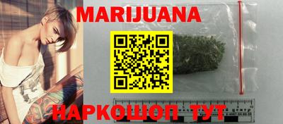 индика Кингисепп