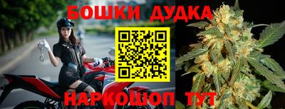 индика Кингисепп