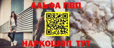 индика Кингисепп
