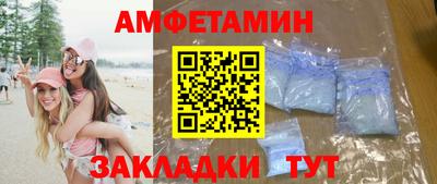 индика Кингисепп