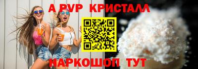 индика Кингисепп