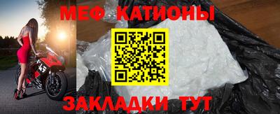 индика Кингисепп